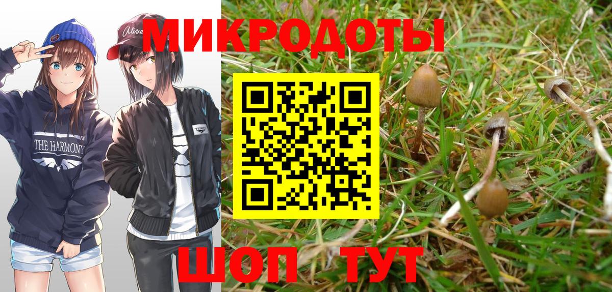 Псилоцибиновые грибы прущие грибы  Галлюциногенные грибы MAGIC MUSHROOMS  Вход с VPN  магазин    Дедовск 