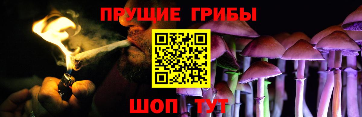 Псилоцибиновые грибы мухоморы Дедовск